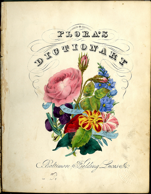 Flora's Dictionary