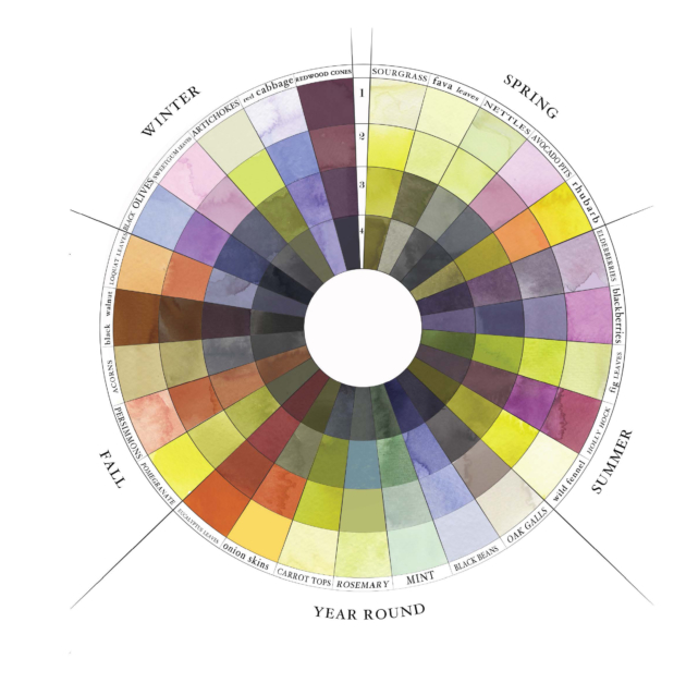 Sasha Duerr, The Seasonal Color Wheel